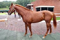 ��ũ�� (HACKMAN) ����