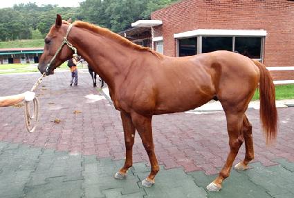 ��ũ�� ����