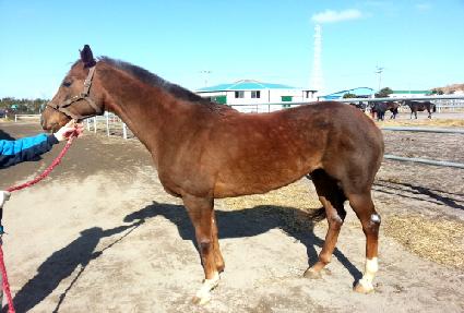 �����Ʈ ����