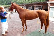 �ǿ켺 (GEONUSEONG) ����