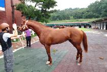 ��ǳ���� (JILPUNGEUTTEUM) ����