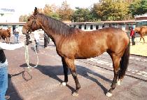 �������¾� (MUNHAGUI TAEYANG) ����