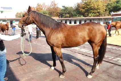 �������¾� ����