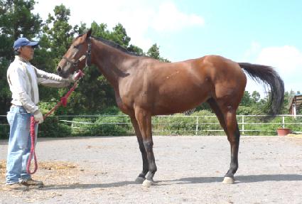 �޸��� ����