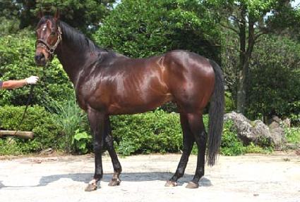 �������� ����