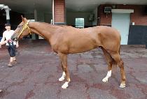 ����¡�� (RAISING TIM) ����