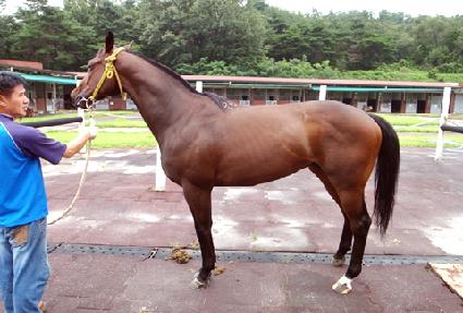 �������� ����