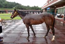 ���۾��׳� (SUPER ATHENA) ����