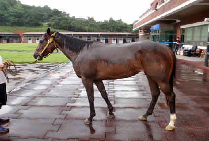 ���۾��׳� ����