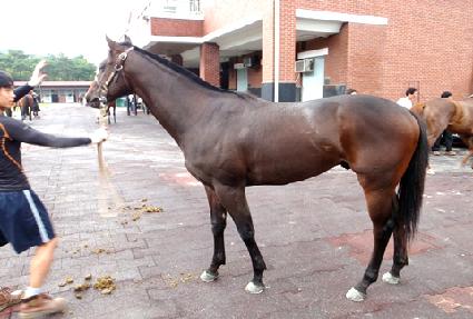 ������ ����