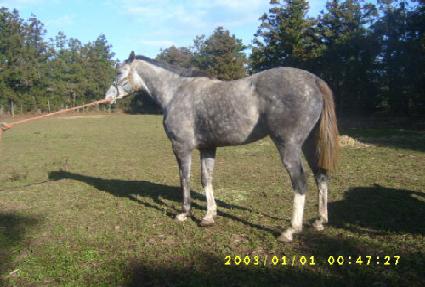 �ر� ����