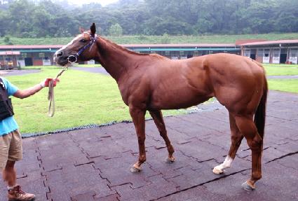 ��ٶ󽽷� ����