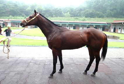 ���� ����