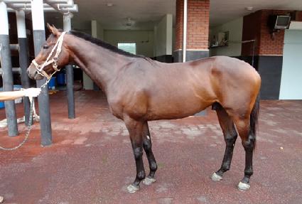 ����� ����