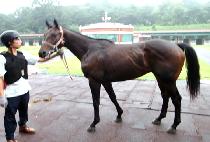 ���Ȱ� (MURANGAE) ����