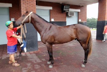 ������ ����