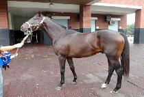 �����̾߱� (YEONGUNGIYAGI) ����