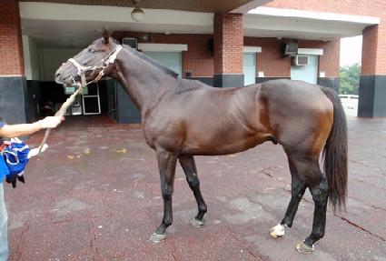 �����̾߱� ����