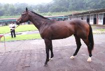 �����Ϸ� (JEONGSANGILLO) ����