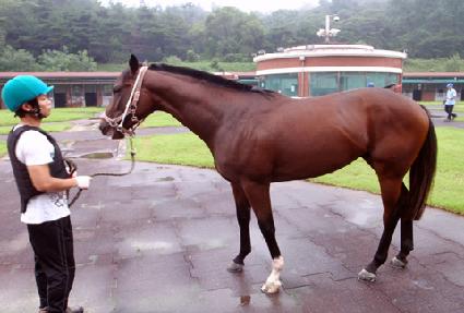 ��¥�糪�� ����