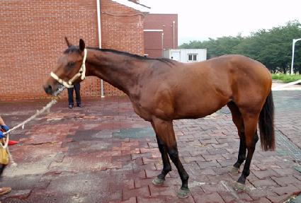 Ȳ������ ����