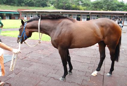 ��� ����