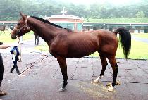 ŷ��¯ (KINGWANGJJANG) ����