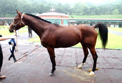 ŷ��¯ ����