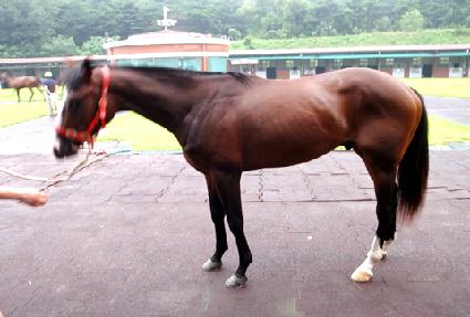 �ӽ������� ����