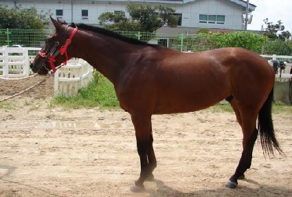 �������̽� ����