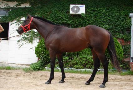 ����뵹ǳ ����