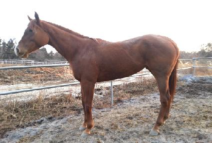 ����Ʈ�ְ� ����