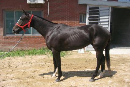 ǻ��ǻó ����