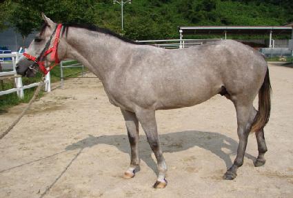 ����������� ����