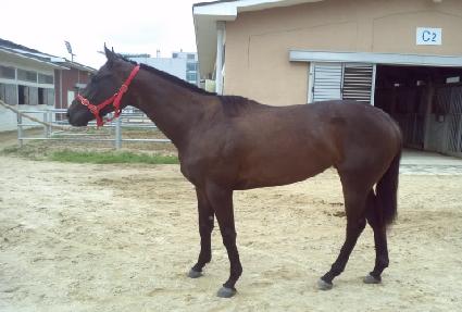 ��ǳ���� ����