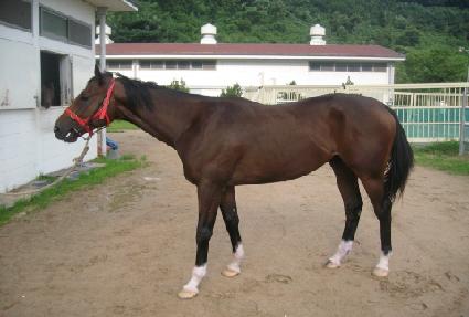 ưư�� ����