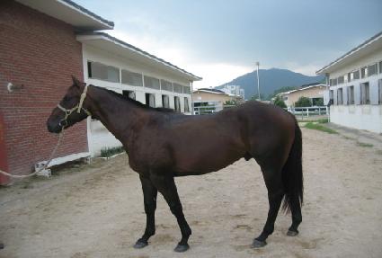 ����ó�� ����