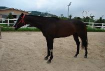 �Ϲ����� (HARBOR BAY) ����