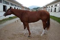 �嵵�� (JANGDORI) ����