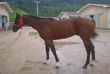 �������� ����