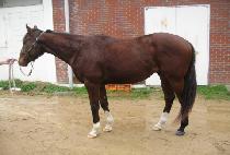 ����Ƽ���� (QUALITY MARKET) ����