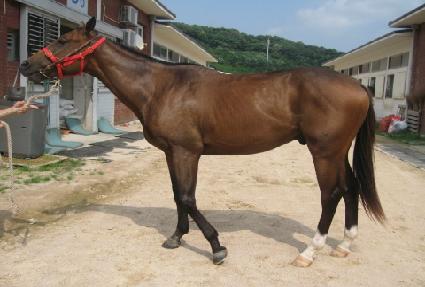 ȣ���������� ����