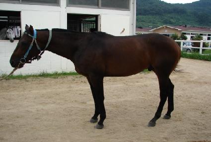 ������ ����