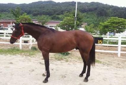 ������ ����