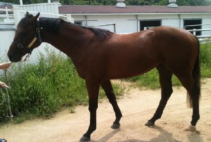 �����̺����Ʈ ����