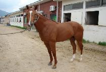 �ٴ����� (BADACHUKJE) ����