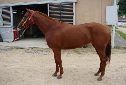 �۷ι����� ����