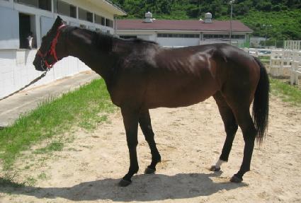 ����ó�� ����