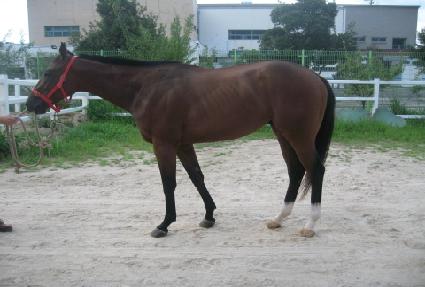 �ͽθ��ο� ����