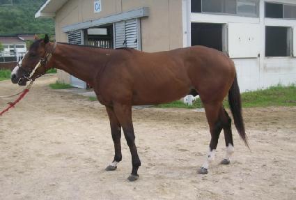 ���̾������� ����